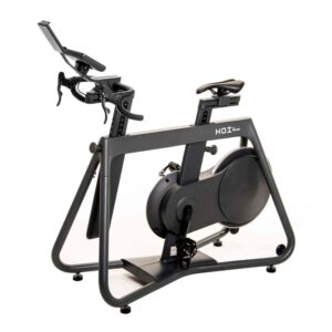 Kettler HOI Ram Indoor Bike Stone